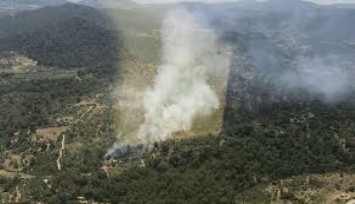 Bergama'da korkutan orman yangını