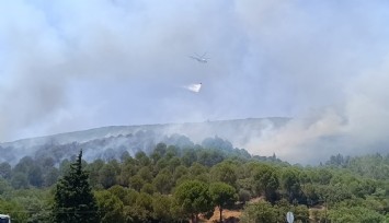 Bornova’daki orman yangını kontrol altına alındı