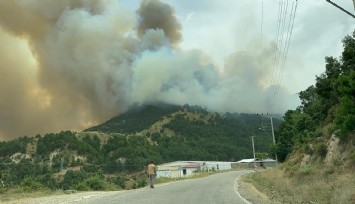 Denizli'de üç farklı yerde yangın çıktı: Ekipler müdehale etmeye devam ediyor