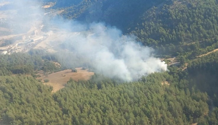 İzmir'de orman yangınına havadan ve karadan müdahale