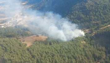 İzmir'de orman yangınına havadan ve karadan müdahale