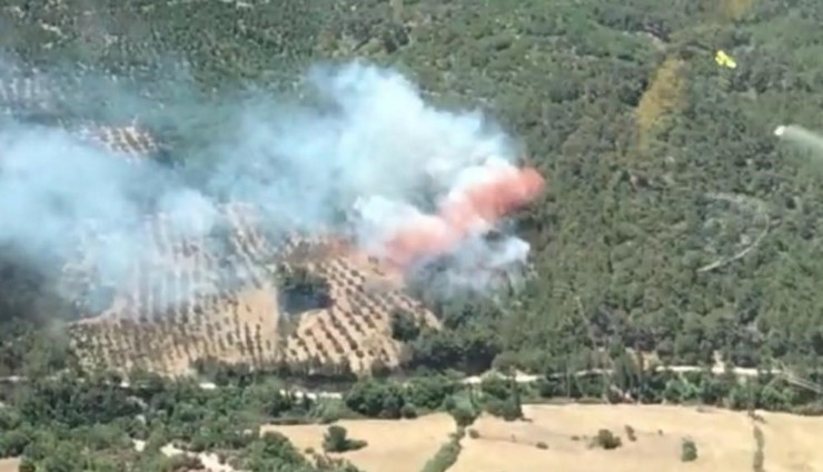 İzmir ve Manisa'da 165 yangına müdahale edildi