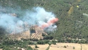 İzmir ve Manisa'da 165 yangına müdahale edildi