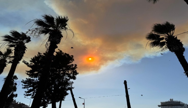 Selçuk'taki yangın Kuşadası'na sıçradı