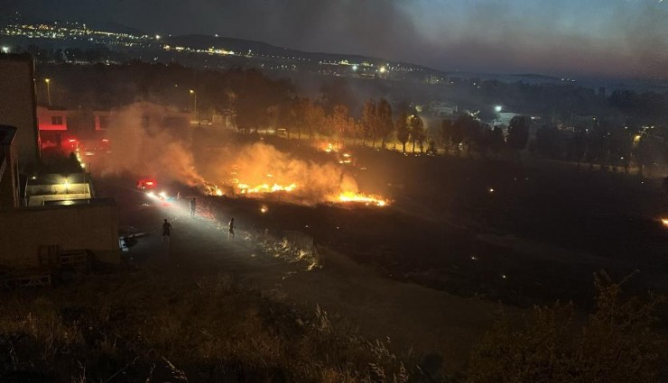 Aliağa'da otluk alan kül oldu