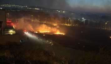 Aliağa'da otluk alan kül oldu