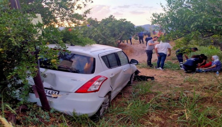 Aydın'da otomobil tarlaya uçtu: 2 yaralı