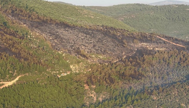 Bodrum'daki orman yangını 18 saat sonra kontrol altında