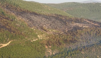 Bodrum'daki orman yangını 18 saat sonra kontrol altında