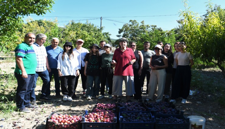 Bornova Belediyesi çiftçinin yardımına yetişiyor