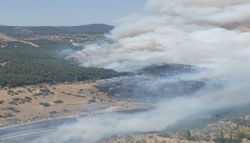 Bornova'da korkutan orman yangını