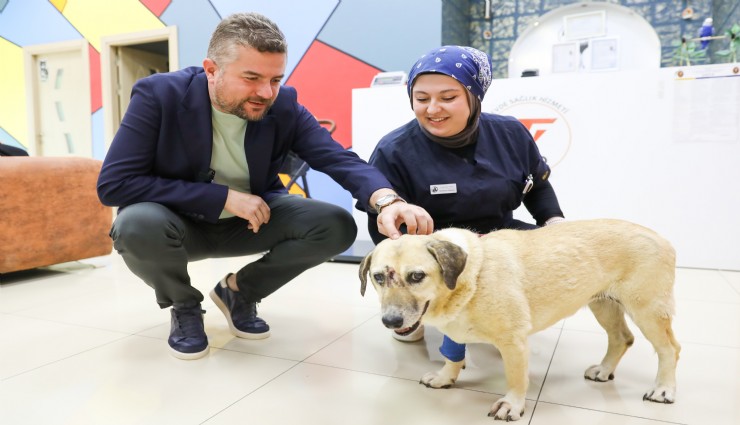 Buca'da baba oğul tarafından saldırıya uğrayan köpeğe Başkan Duman'dan ziyaret