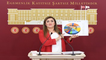 CHP'li Kılıç'tan aile katliamları raporu: Aile katliamlarında öldürülen çocukların yaşı 2'ye kadar düştü