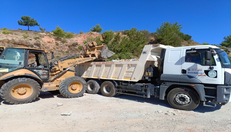 Efes Selçuk'ta maloz temizliği: Büyükşehir ile ortak çalışmalar devam ediyor