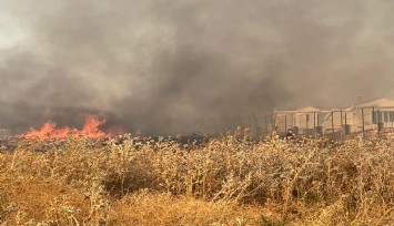 Foça'da makilik alanda yangın