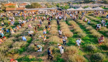 Lavanta Festivali 9. kez ziyaretçileriyle buluştu