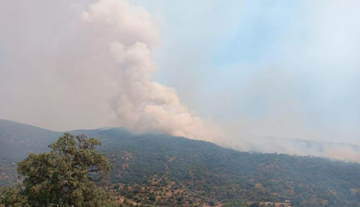 Manisa'daki orman yangını kontrol altına alındı