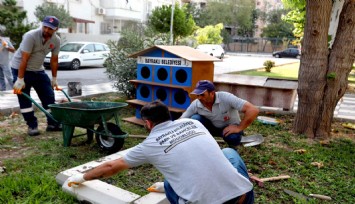 Bayraklı'da pati evlerinin sayısı artıyor: 40 noktaya pati evi