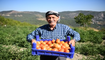 Bornova'da yerel üreticiye tam destek: Ürünler tarlada kalmıyor