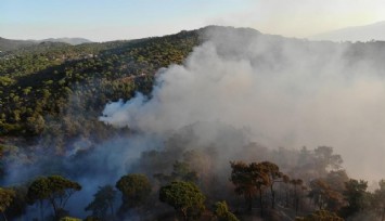 Bozdoğan yangını günün ilk ışıklarıyla böyle görüntülendi: 8 helikopter, 7 uçak müdahale ediyor