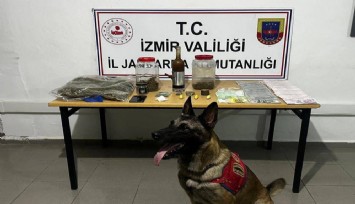 Çeşme'de zehir tacirine şafak operasyonu