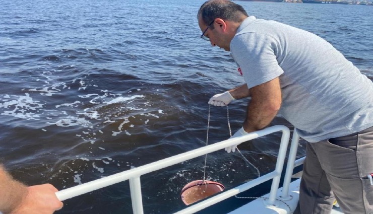 Çevre ve Şehircilik Bakanlığı’ndan İzmir Körfezi’ndeki balık ölümlerine inceleme