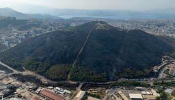 İşte İzmir Büyükşehir Belediyesinin yanan alanlarla ilgili yol haritası: Nerede ne yapılacağı tek tek sayıldı