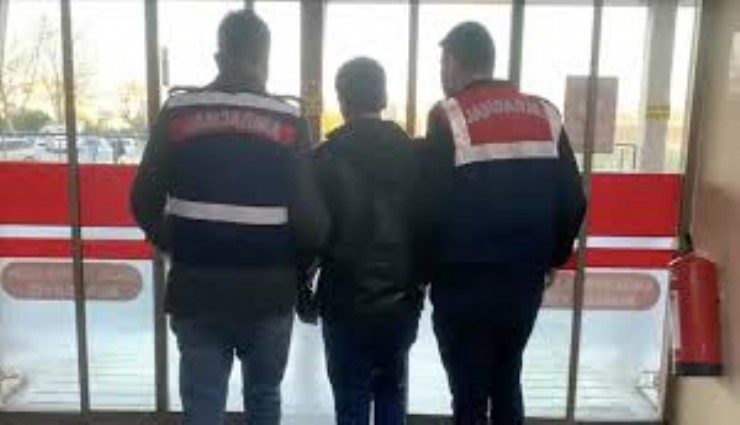 İzmir'de terör örgütü PKK'ya darbe: 15 gözaltı