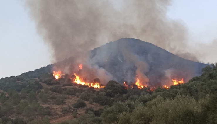 İzmir'deki orman yangınlarıyla ilgili 6 kişi tutuklandı