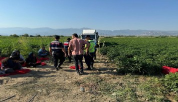 Manisa'da feci olay: Tarlada uyurken üzerinden kamyon geçen çocuk hayatını kaybetti, yakınları sürücüyü tabancayla öldürdü