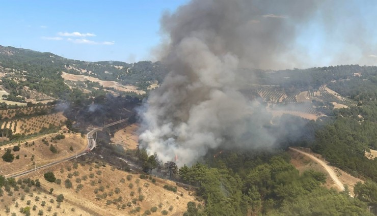 Manisa'da orman alev alev: 5 uçak, 10 helikopter müdahale ediyor