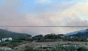 Manisa'daki orman yangını kontrol altına alındı