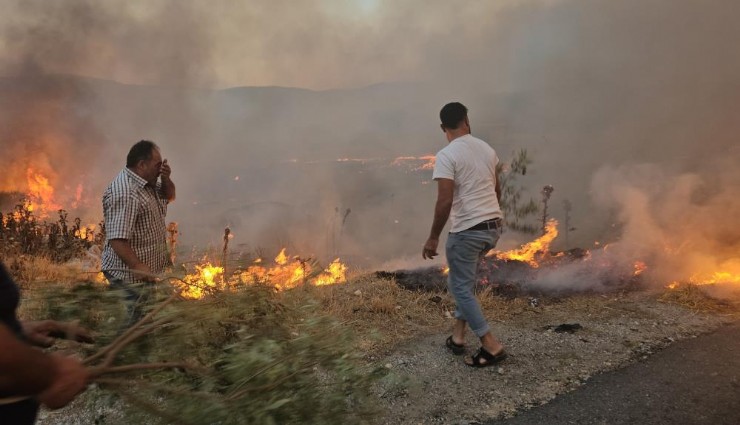 Tire ve Bayındır'da orman yangını: Müdahale devam ediyor