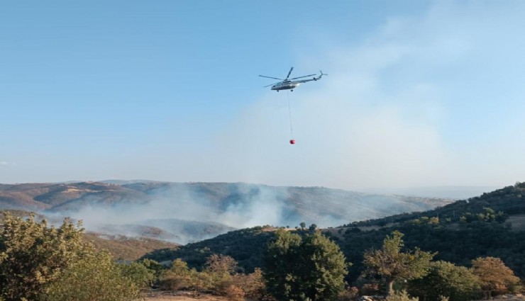 Uşak Eşme'de iki farklı noktada yangın