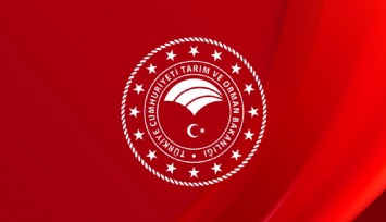 Tarım Bakanlığı Desteklere Zam Yaptı! 12.000 TL Ödenecek